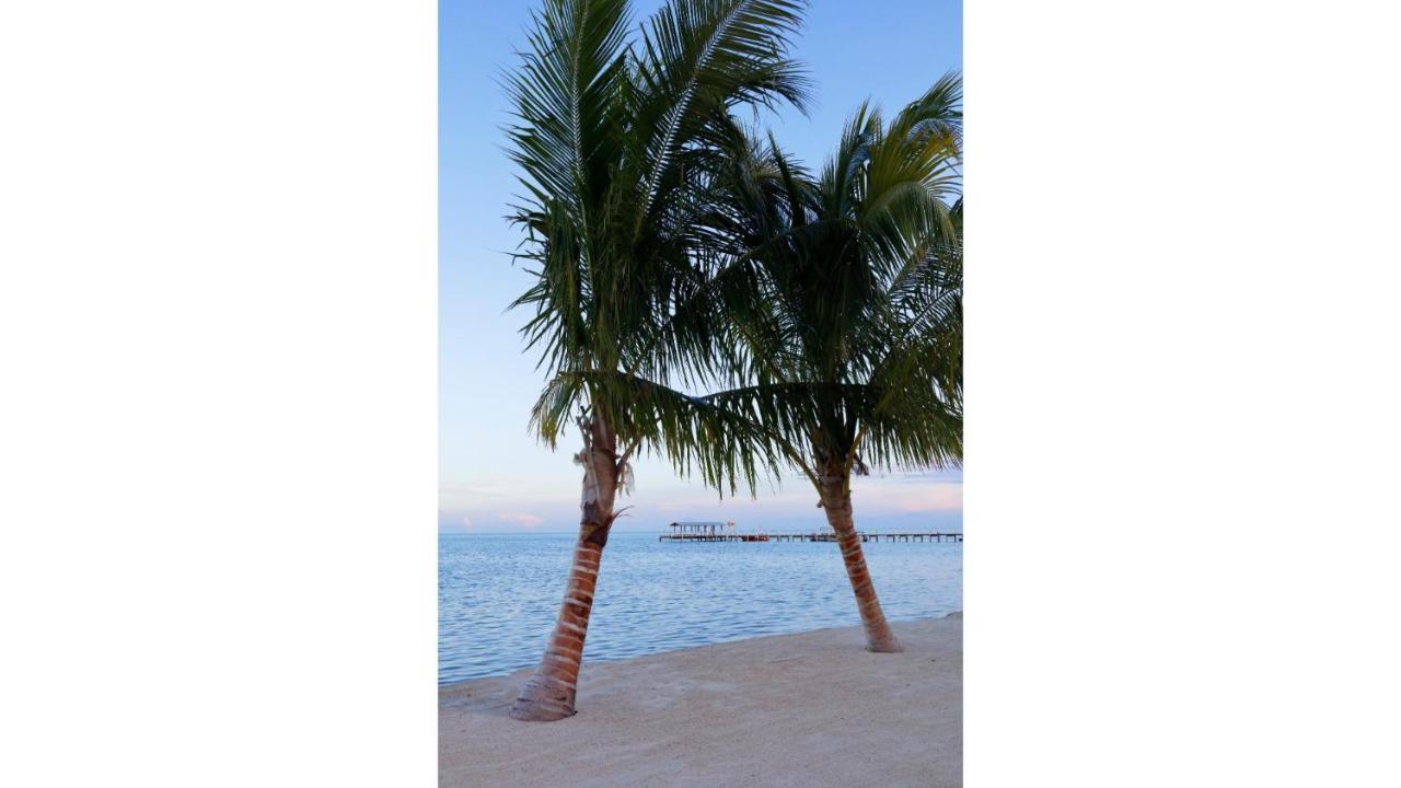Cheeca Lodge & Spa Islamorada Exterior foto Palm trees on the beach at the Grand Hotel